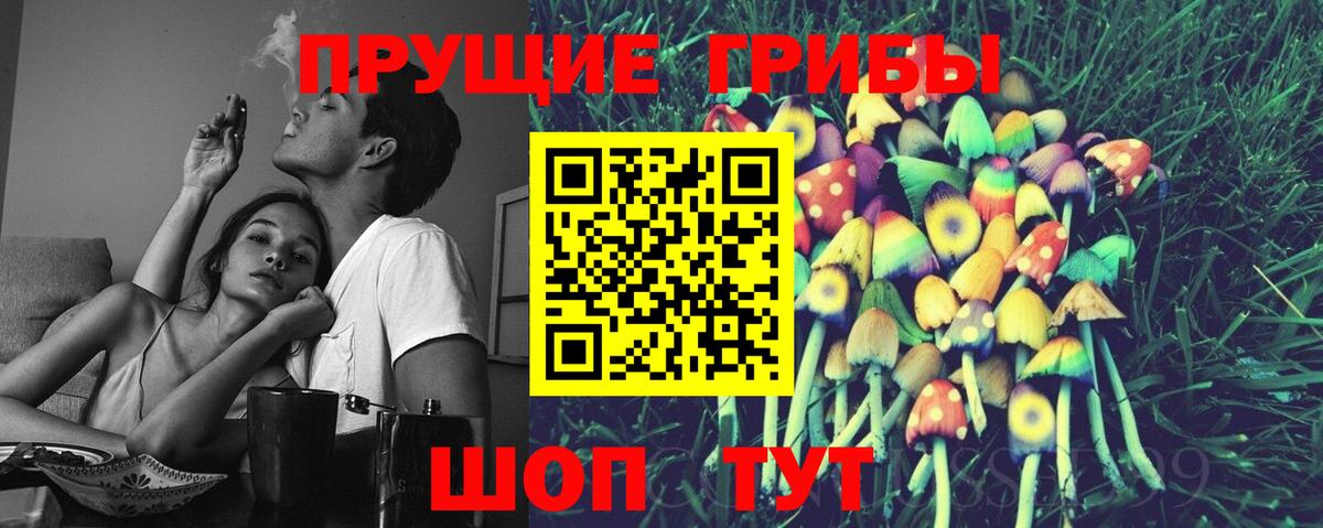 Рассказово  Галлюциногенные грибы MAGIC MUSHROOMS  как найти закладки  Псилоцибиновые грибы мицелий  Вход с VPN 