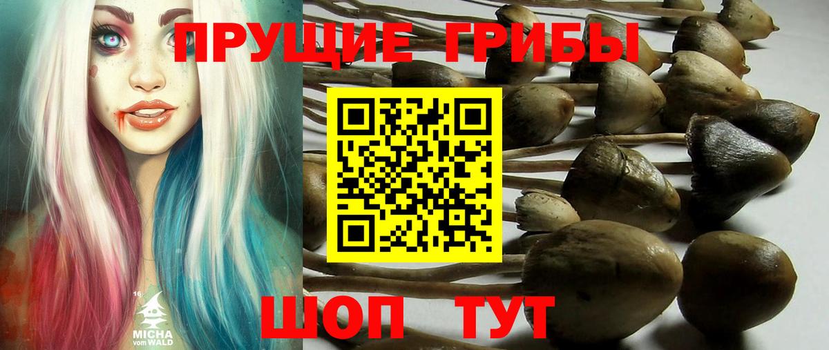 Галлюциногенные грибы GOLDEN TEACHER Рассказово